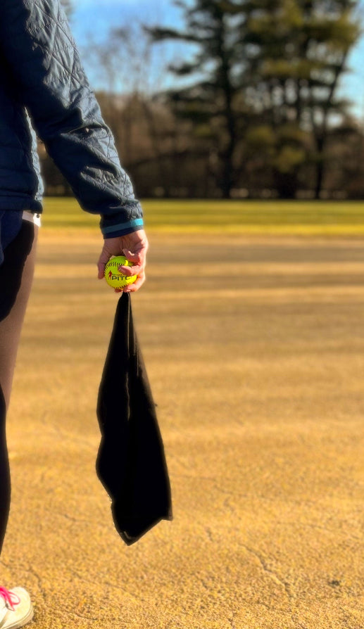 6 Softball Training Balls